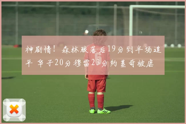 神剧情！森林狼落后19分到半场追平 华子20分穆雷23分约基奇被虐