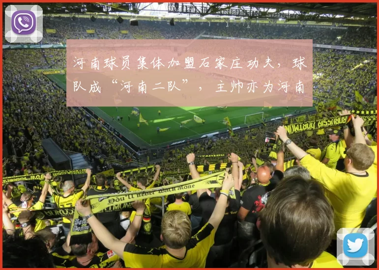 河南球员集体加盟石家庄功夫，球队成“河南二队”，主帅亦为河南旧将_牛梓屹_赛季_中超