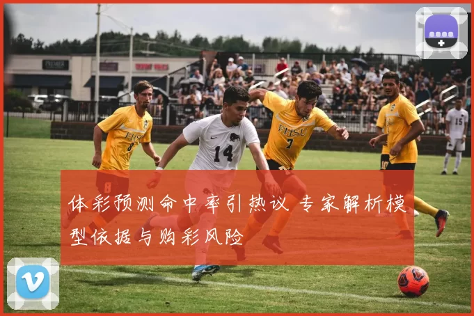 体彩预测命中率引热议 专家解析模型依据与购彩风险