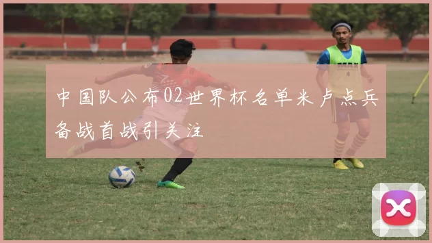 中国队公布02世界杯名单米卢点兵备战首战引关注