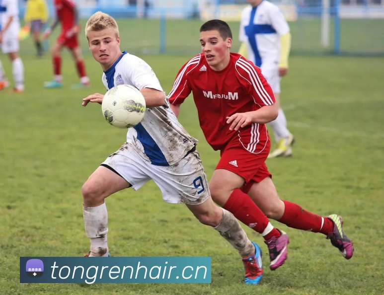 leyu乐鱼平台生态图