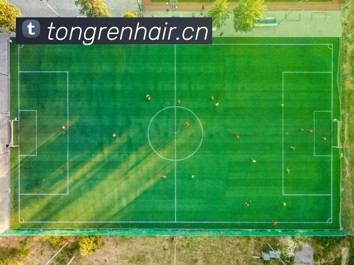 leyu乐鱼APP 封面图